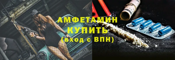 гашик Алексеевка